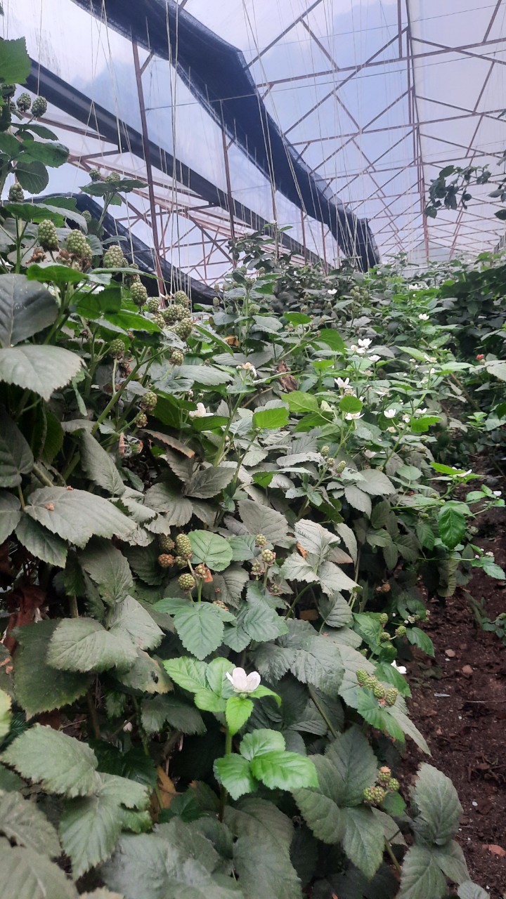 Product Info Image 5